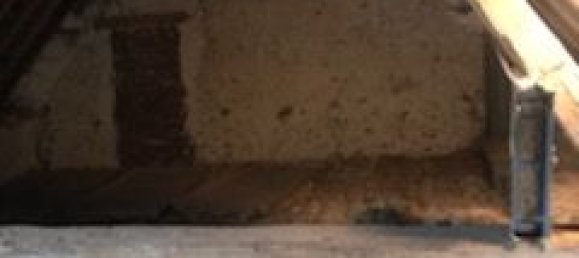 Casa de 9 habitaciónes en Rambouillet, France No. 186197 8