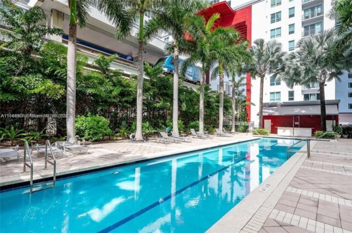 Studio in Miami, USA, Nr. 338771