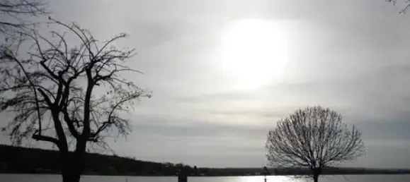 Таунхаус с 5 комнатами в Мансфельд-Зюдгарц, Германия № 172178 18