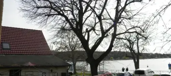 Таунхаус с 5 комнатами в Мансфельд-Зюдгарц, Германия № 172178 17