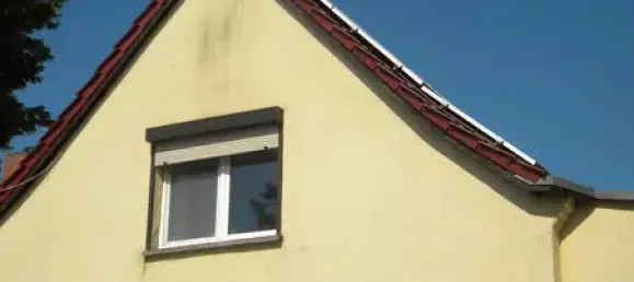 Таунхаус с 5 комнатами в Мансфельд-Зюдгарц, Германия № 172178 7