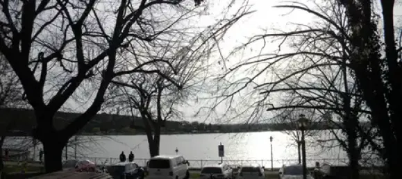 Таунхаус с 5 комнатами в Мансфельд-Зюдгарц, Германия № 172178 16