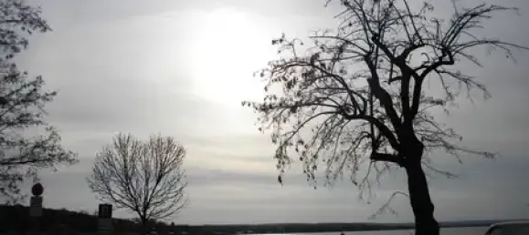 Таунхаус с 5 комнатами в Мансфельд-Зюдгарц, Германия № 172178 15