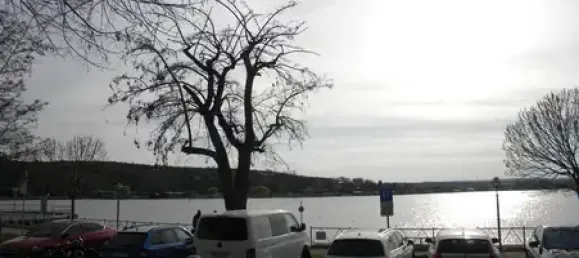 Таунхаус с 5 комнатами в Мансфельд-Зюдгарц, Германия № 172178 19