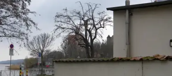 Таунхаус с 5 комнатами в Мансфельд-Зюдгарц, Германия № 172178 14