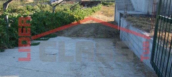 Grundstück in Mirandela, Portugal 5000m², Nr. 221433 8