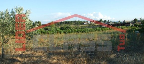 Grundstück in Mirandela, Portugal 5000m², Nr. 221433 7