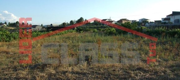 Grundstück in Mirandela, Portugal 5000m², Nr. 221433 6