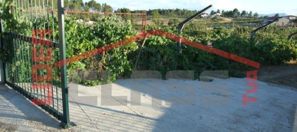 Grundstück in Mirandela, Portugal 5000m², Nr. 221433 9