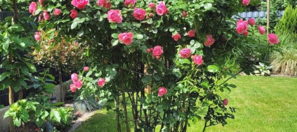 Dúplex de 5 habitaciónes en Essen, Germany No. 41261 14