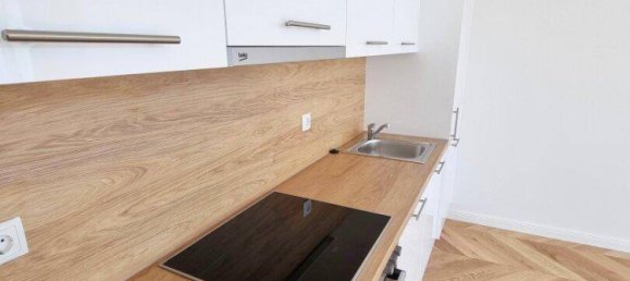 Casa de 2 divisões em Rudolfsheim-Funfhaus, Austria N.º 245385 21