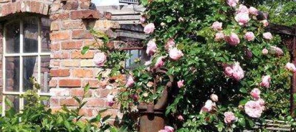 5-salle Maison à Steinburg, Germany No. 55886 16