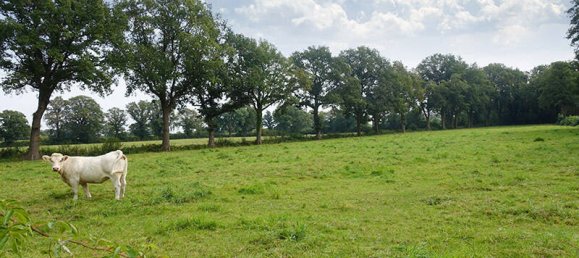 5-salle Maison à Steinburg, Germany No. 55886 35