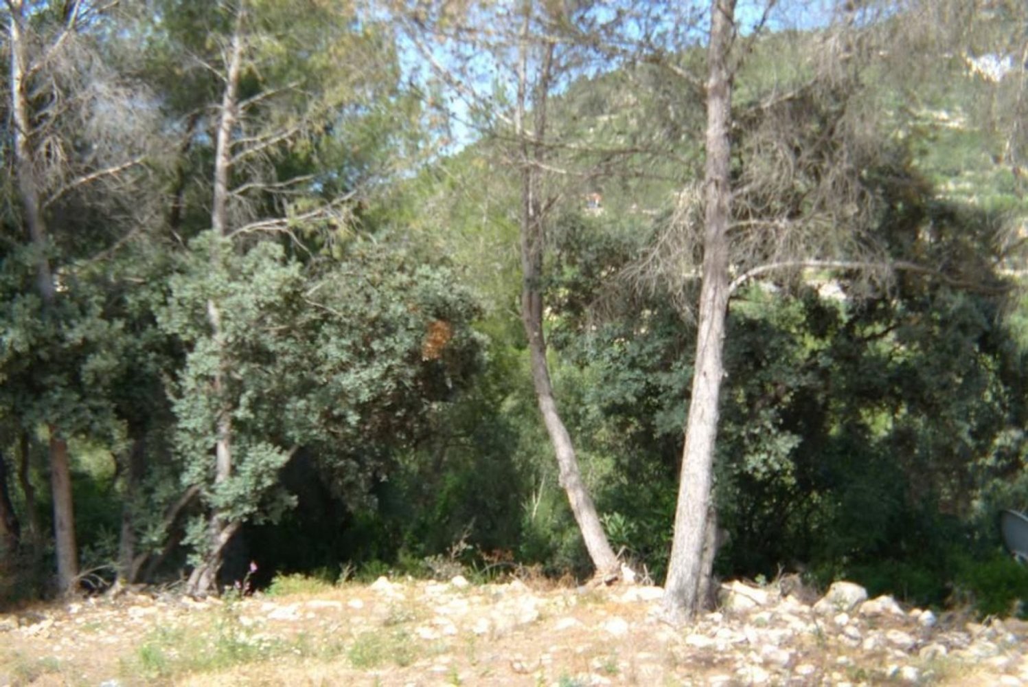 795m² Land in Alcalali, Spain No. 103318