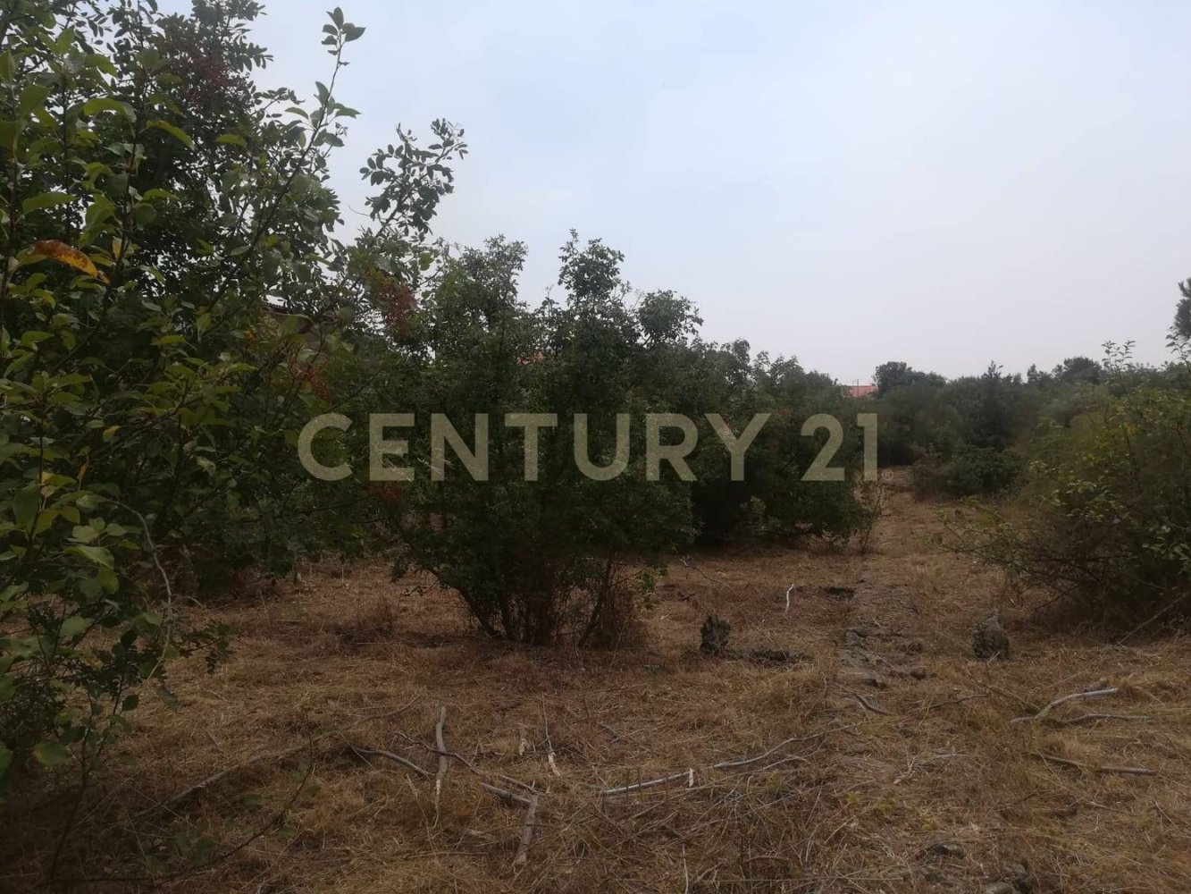  قطعة أرض في Pedara, Italy 3300متر مربع رقم 112648