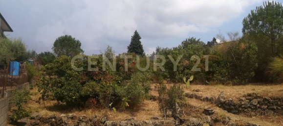 قطعة أرض في Pedara, Italy 3300متر مربع رقم 112648 4