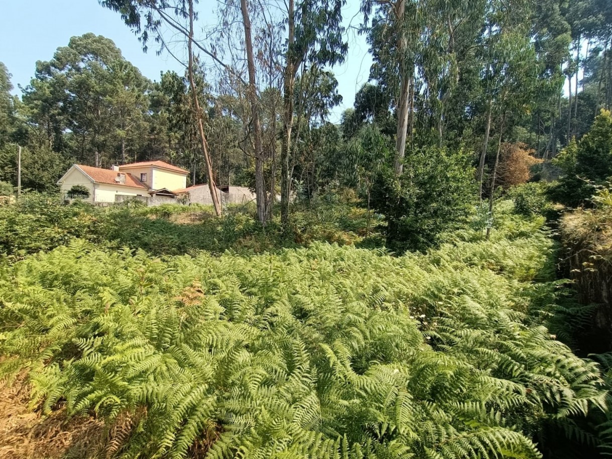  قطعة أرض في Viana do Castelo, Portugal 1300متر مربع رقم 244250