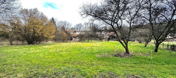 4 rooms House in Darney, France No. 83623 19