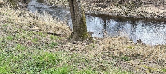 4 rooms House in Darney, France No. 83623 31