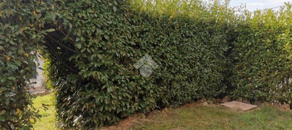 6 rooms House in Valle San Nicolao, Italy No. 77000 27