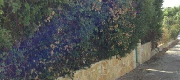 2 bedrooms Commercial property in Anavyssos, Greece No. 2075 22