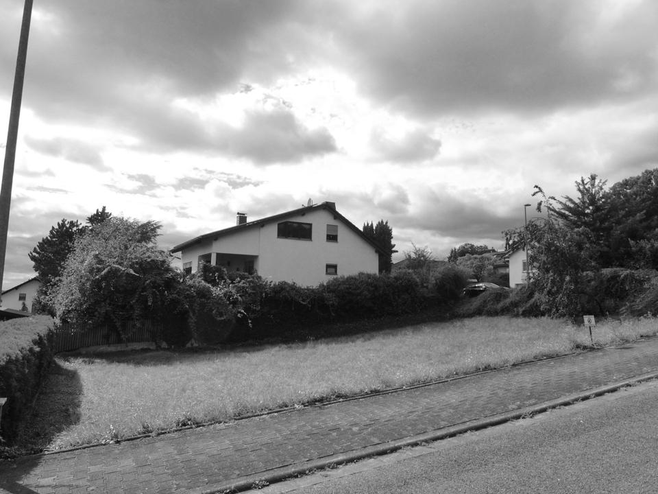  Land in Alzey-Worms, Germany No. 338932