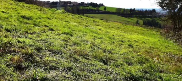 Grundstück in Loire, France 1245m², Nr. 348263 6