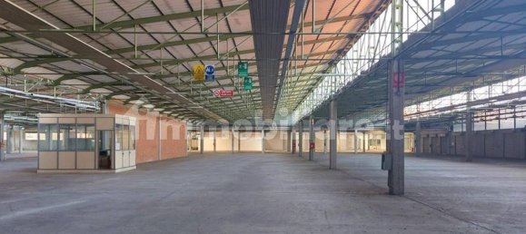 20118m² Warehouse in Gaiarine, Italy No. 320977 13