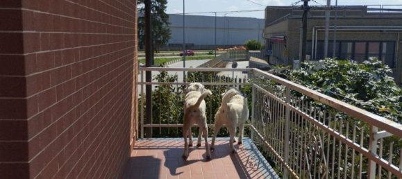 Villa T5 em None, Italy N.º 380895 21