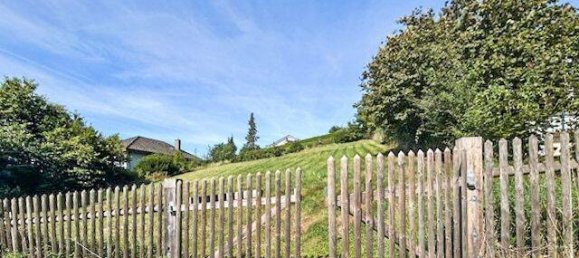 Terreno en Amberg, Germany No. 350728 3