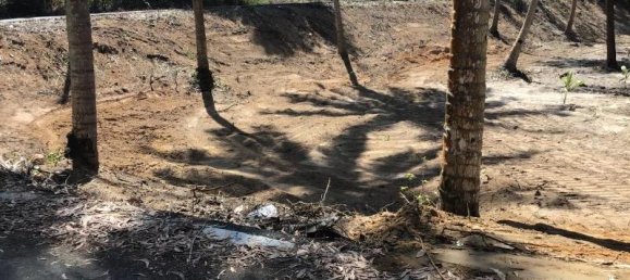 5088m² Commercial property in Khok Kloi, Thailand No. 8274 5