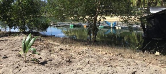 5088m² Commercial property in Khok Kloi, Thailand No. 8274 7