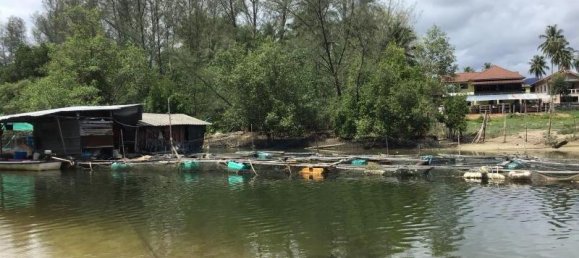 5088m² Commercial property in Khok Kloi, Thailand No. 8274 2