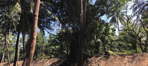 5088m² Commercial property in Khok Kloi, Thailand No. 8274 4