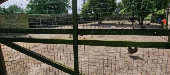 3 bedrooms Bungalow in Rostock, Germany No. 175789 3