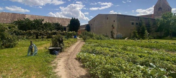 Granja de 12 habitaciónes en Stendal, Germany No. 174250 31