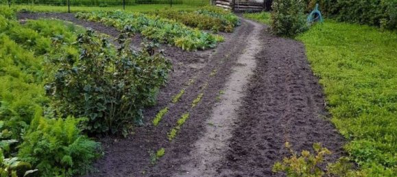 Granja de 12 habitaciónes en Stendal, Germany No. 174250 29