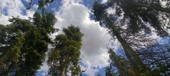 Granja de 12 habitaciónes en Stendal, Germany No. 174250 35