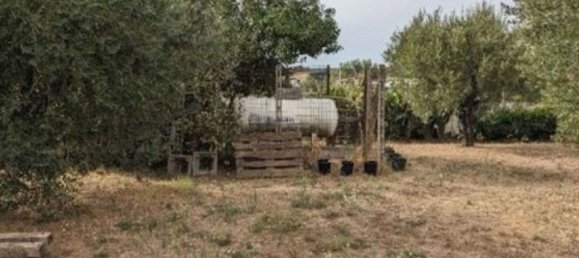 7-salle Maison à Nettuno, Italy No. 184421 4