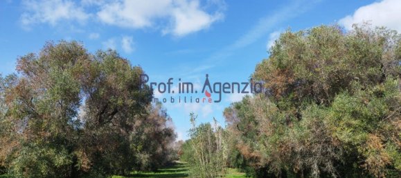 Grundstück in San Vito dei Normanni, Italy 6527m², Nr. 161433 5