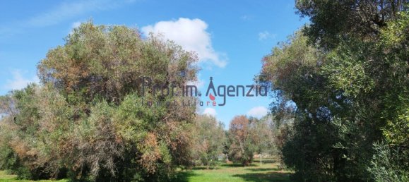 Grundstück in San Vito dei Normanni, Italy 6527m², Nr. 161433 6