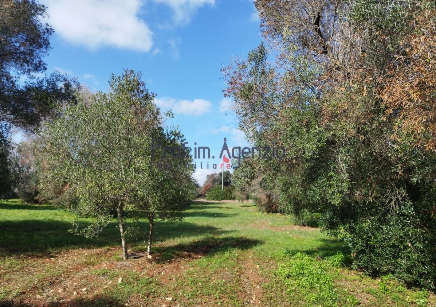 Grundstück in San Vito dei Normanni, Italy 6527m², Nr. 161433