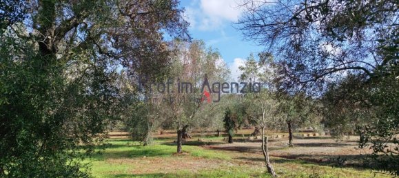 Grundstück in San Vito dei Normanni, Italy 6527m², Nr. 161433 4