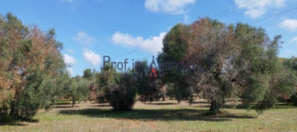 Grundstück in San Vito dei Normanni, Italy 6527m², Nr. 161433 9