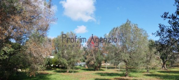 Grundstück in San Vito dei Normanni, Italy 6527m², Nr. 161433 3