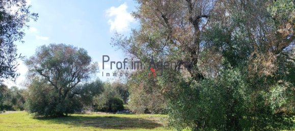 Grundstück in San Vito dei Normanni, Italy 6527m², Nr. 161433 2