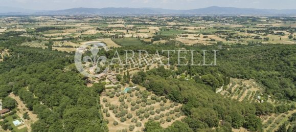 10 bedrooms Land in Lucignano, Italy No. 120239 20