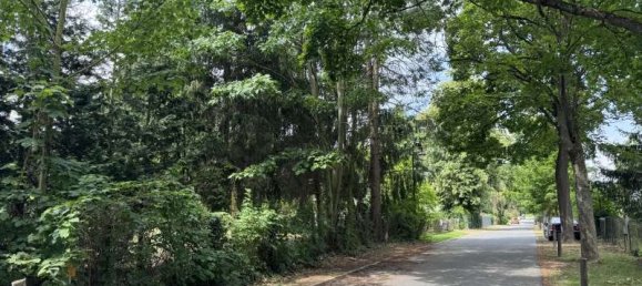 Grundstück in Märkisch-Oderland, Germany, Nr. 68074 3