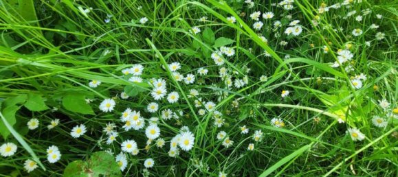 6 rooms Townhouse in Schwabach, Germany No. 278245 15