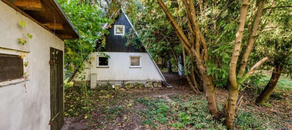 Land in Schmockwitz, Germany No. 58497 4